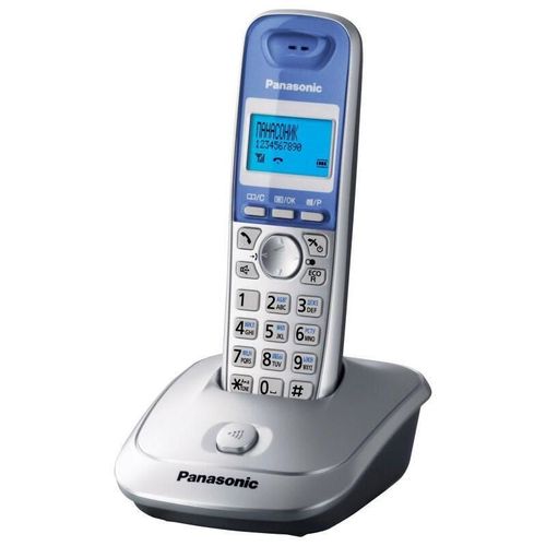 купить Телефон беспроводной Panasonic KX-TG2511UAS в Кишинёве 