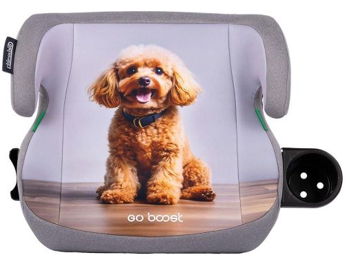 cumpără Scaun auto Chipolino SDKGB02602PO I-Size 125-150cm GO BOOST poodle în Chișinău 
