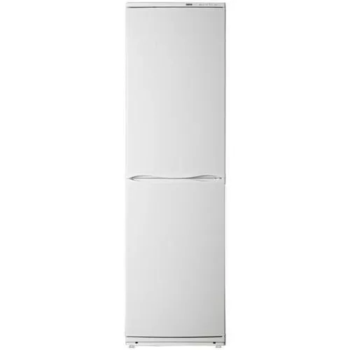 купить Холодильник с нижней морозильной камерой Atlant XM 6025-031 в Кишинёве 