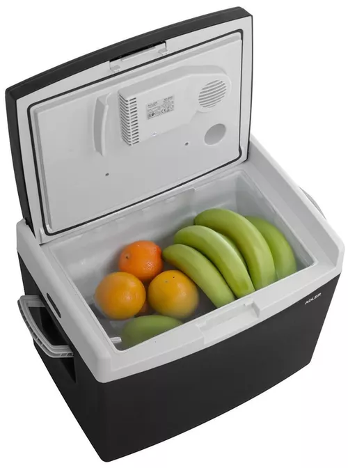 cumpără Frigider portabil Adler AD 8092 black în Chișinău 