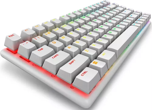 купить Игровая клавиатура Dell 545-BBFR Alienware Pro Wireless Gaming (US QWERTY) (Lunar Light) в Кишинёве 