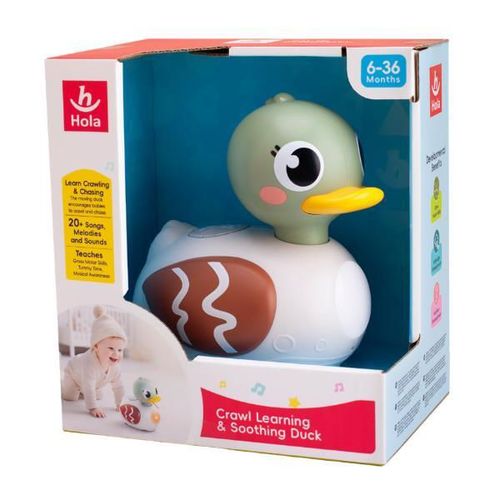 купить Игрушка Hola Toys HE9975 Rățușca cu muzica si lumina в Кишинёве 