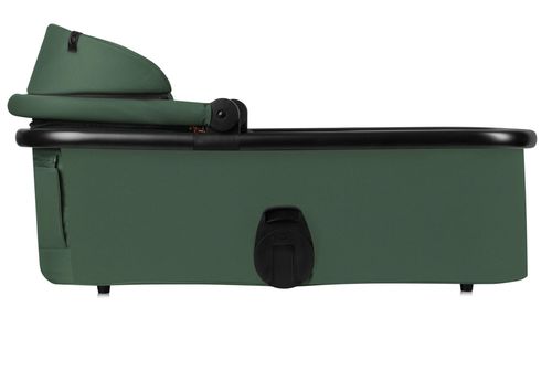 купить Детская коляска Lionelo Carucior 2in1 Layla Green Forest в Кишинёве 