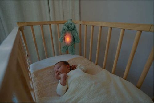 купить Ночной светильник Zazu Baby Soother RO sage в Кишинёве 