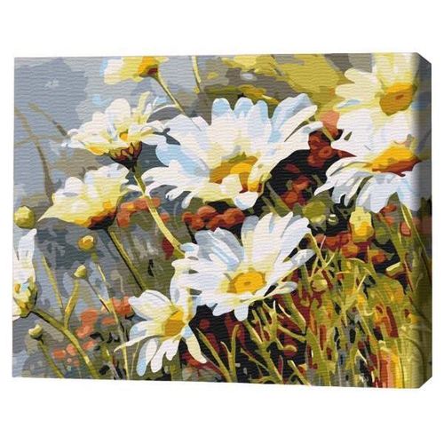 купить Картина по номерам BrushMe BS52280 (în cutie) Căpșuni sălbatice printre mușețel в Кишинёве 