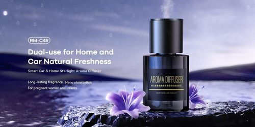 cumpără Aparat de aromatizare Remax RM-C45 Persian Whisper în Chișinău 