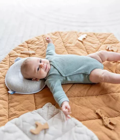 cumpără Accesoriu pentru cei mici Babymoov A050233 Perna anti-plagiocefalie Cosyhead Fresh Smokey în Chișinău 