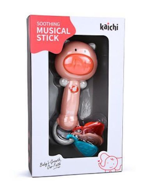 купить Погремушка Kaichi KAYDIG025KA152 Piggy в Кишинёве 
