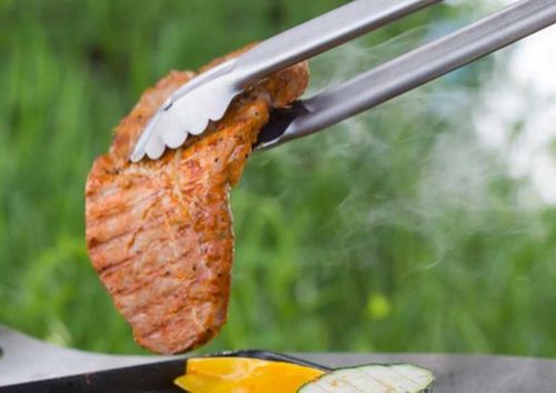 купить Товар для пикника Petromax PMX-ZA1 Cleste BBQ Tong 41cm в Кишинёве 