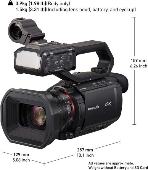 купить Видеокамера Panasonic HC-X2000EE в Кишинёве 