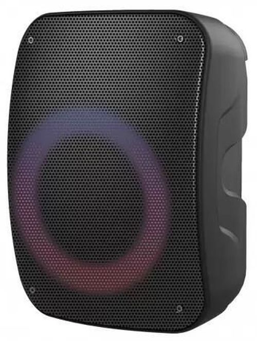 купить Колонка портативная Bluetooth Platinet PMG250 в Кишинёве 