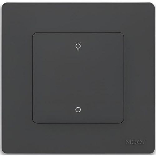купить Выключатель электрический Moes ZS-SR-EUD1-GY-MS в Кишинёве 