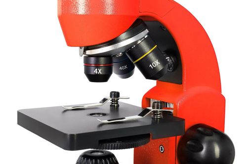 cumpără Microscop Levenhuk Rainbow 50L Plus Orange în Chișinău 