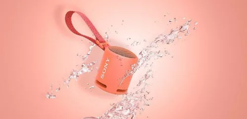 купить Колонка портативная Bluetooth Sony SRSXB13P в Кишинёве 