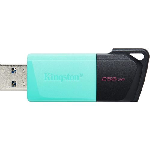 купить Флеш память USB Kingston DTXM/256GB в Кишинёве 