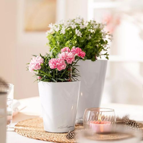 cumpără Ghiveci pentru flori Lechuza Mini Deltini Premium, Shiny Taupe în Chișinău 