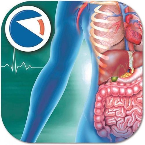 cumpără Set de creație Clementoni Super anatomie (75104) în Chișinău 