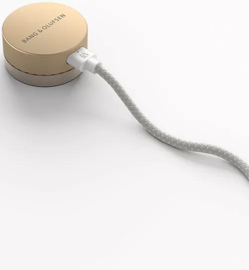 купить Колонка портативная Bluetooth Bang & Olufsen Beosound Level Gold Tone Alu в Кишинёве 