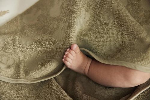 cumpără Accesoriu pentru baie Jollein 534-514-67087 Prosop cu gluga Terry Miffy Jacquard Olive Green, 75x75 cm în Chișinău 