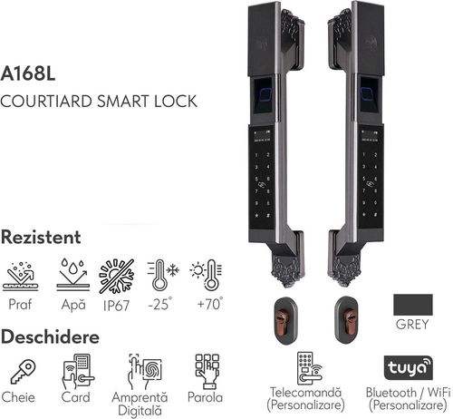 купить Умный дверной замок ArtFlame A168L Courtiard smart lock в Кишинёве 