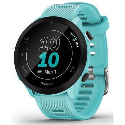 cumpără Ceas inteligent Garmin Forerunner® 55 (010-02562-12) în Chișinău 