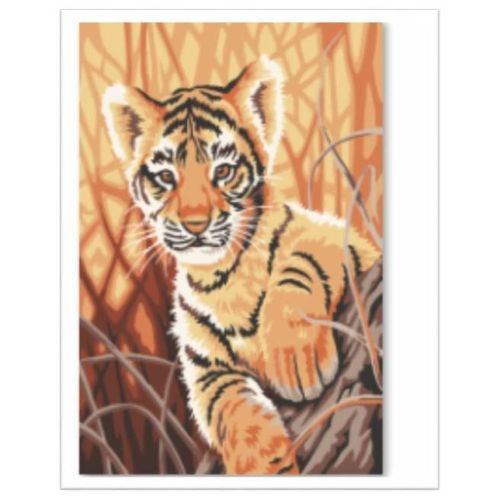купить Картина по номерам Art Gallery CX3152 20x30cm Pui de tigru in savana в Кишинёве 