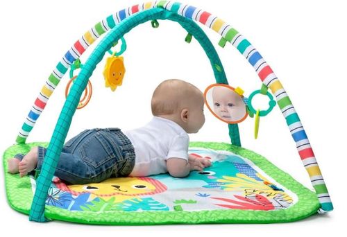 купить Игровой комплекс для детей Bright Starts 12893 Salteluta de activitati Wild Wiggles™ в Кишинёве 