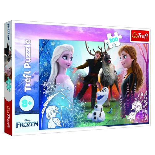 купить Головоломка Trefl 23006 Puzzles - 300 - Magic time / Disney Frozen 2 в Кишинёве 