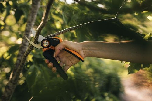 купить Ножницы садовые Fiskars PowerGearX Pruner P961 PX94 (1057175) в Кишинёве 