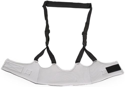 купить Аксессуар для самых маленьких Moni Walky Black BW001 в Кишинёве 