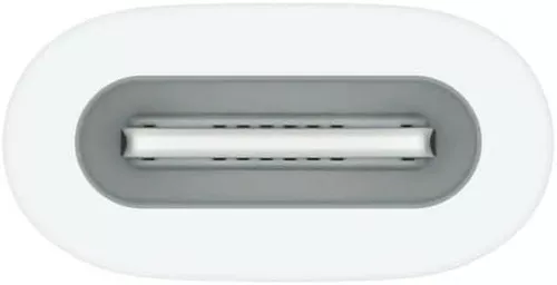 купить Адаптер для мобильных устройств Apple USB-C to Apple Pencil в Кишинёве 