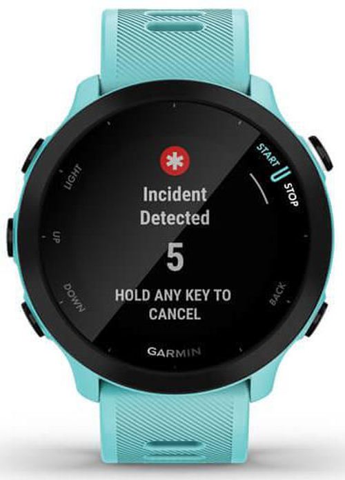 cumpără Ceas inteligent Garmin Forerunner® 55 (010-02562-12) în Chișinău 