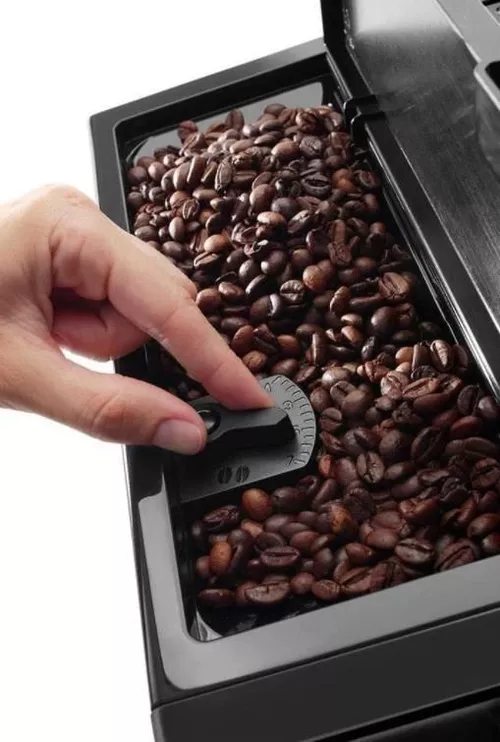 купить Кофемашина DeLonghi ESAM420.40.B Perfecta Evo в Кишинёве 