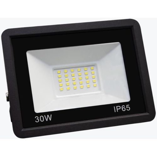 cumpără Reflector Panlight PL-FLP 30CW în Chișinău 