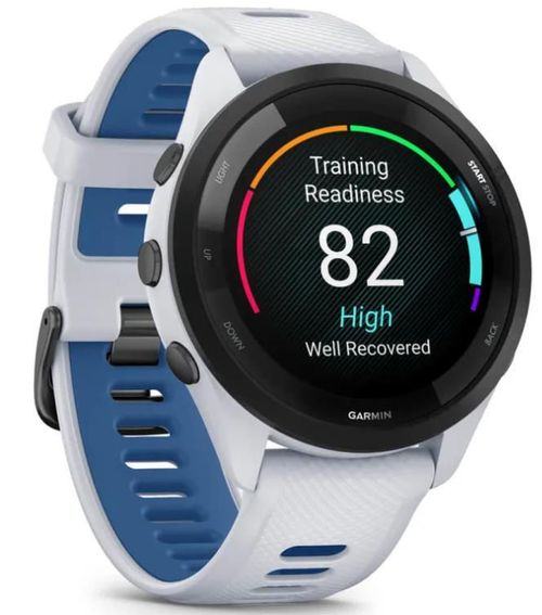 купить Смарт часы Garmin Forerunner 265 Whitestone/Tidal Blue (010-02810-11) в Кишинёве 