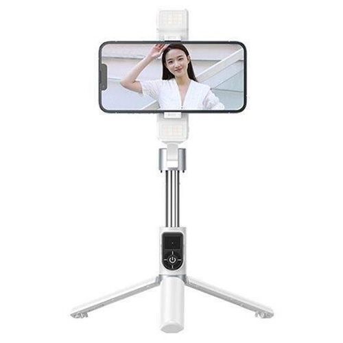 купить Штатив Remax P13 White Holder Dual Light в Кишинёве 