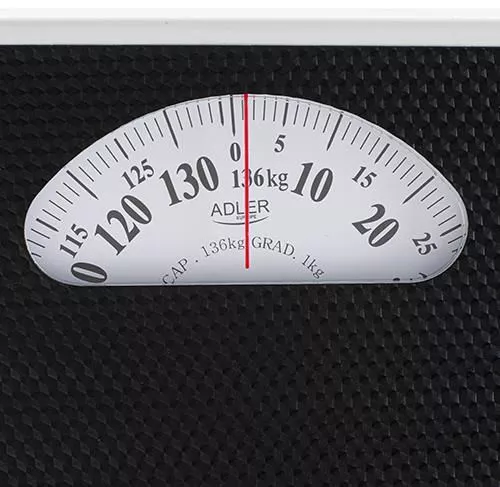 купить Весы напольные Adler AD 8179 в Кишинёве 