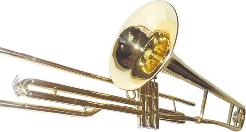 cumpără Instrument muzical de suflat Parrot 6425 L în Chișinău 