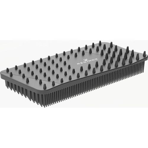 cumpără Accesoriu pentru casă Reginox R38390 Regi-Scrub în Chișinău 