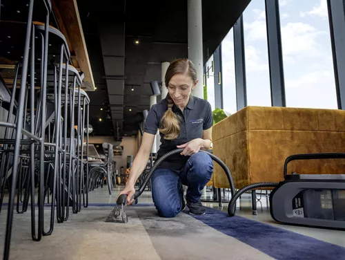 купить Пылесос моющий Karcher Puzzi 2/1 Bp (1.101-750.0) в Кишинёве 