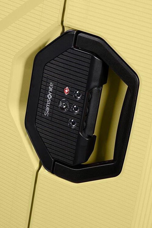 купить Чемодан Samsonite Magnum Eco (139848/1661) в Кишинёве 