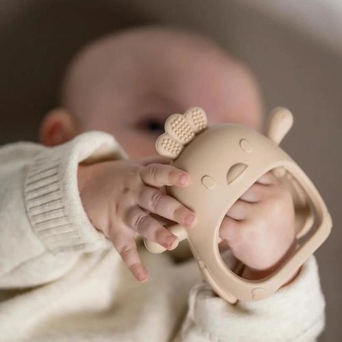 cumpără Iinel dentiție Nattou 874571 Silicone Teether beige în Chișinău 