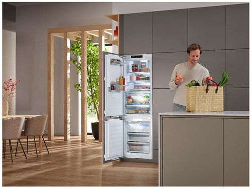 купить Встраиваемый холодильник Miele KFN 7795 C в Кишинёве 