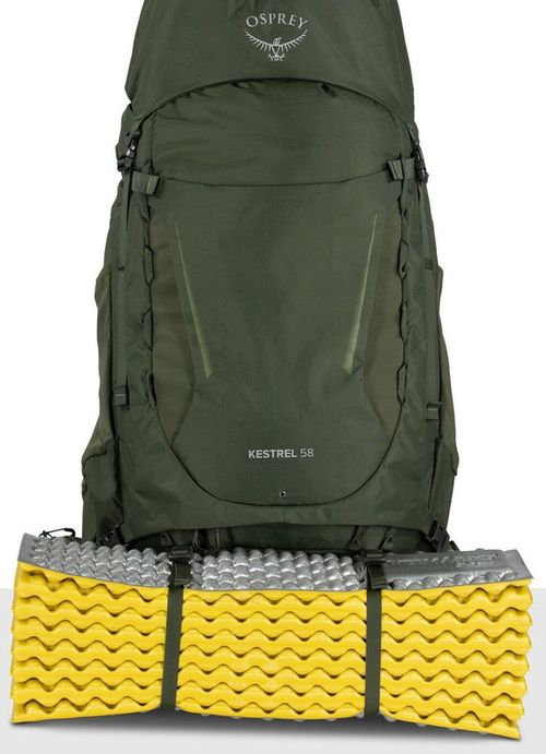 cumpără Rucsac turistic Osprey Kestrel 58 Bonsai Green L/XL în Chișinău 