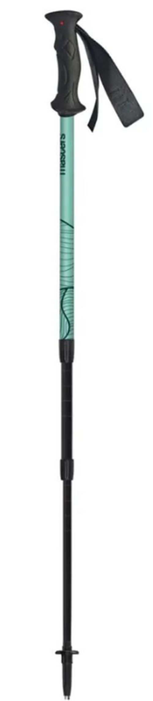 купить Треккинговые палки Masters SCOUT Arctic Bue/Blue (01S2025) в Кишинёве 