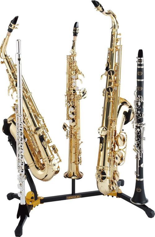 купить Аксессуар для музыкальных инструментов Hercules DS538B stativ 2sax alto/tenor/2clarinete в Кишинёве 