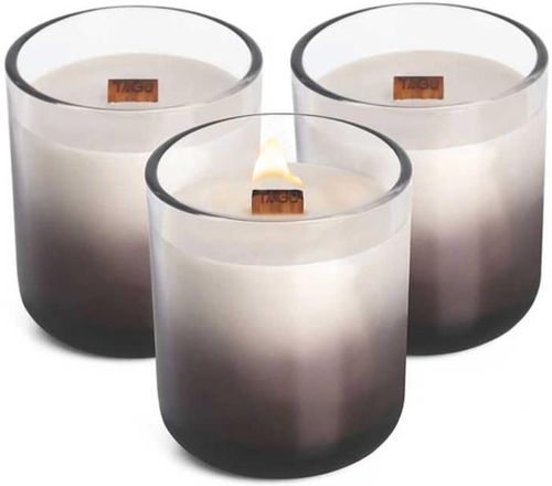 купить Свеча TAGU CandlePlace 3 cu trosnet si miros de semineu в Кишинёве 