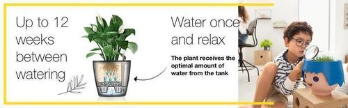 cumpără Ghiveci pentru flori Lechuza Ojo, Raven Black în Chișinău 