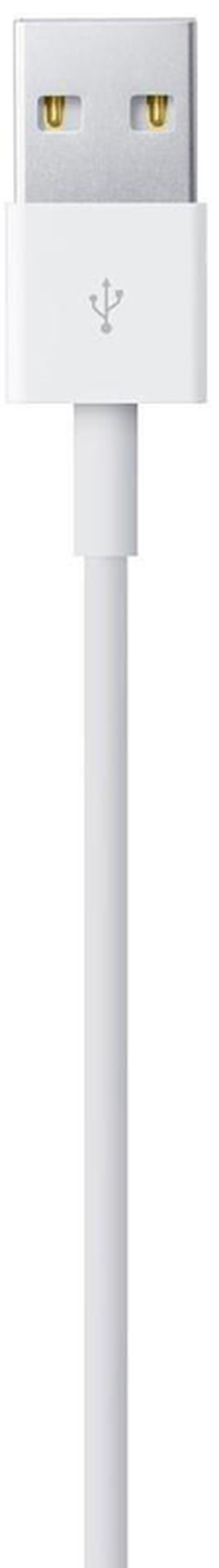 cumpără Cablu telefon mobil Apple Lightning To USB3 Fast 2m MD819 în Chișinău 