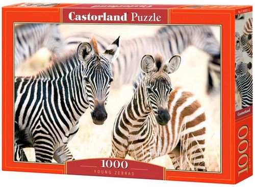 купить Головоломка Castorland Puzzle C-105021 Puzzle 1000 elemente в Кишинёве 